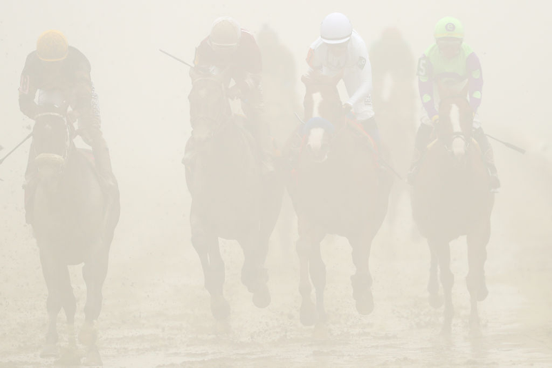 Illustration for article titled The Preakness Was A Foggy, Muddy, Wonderful Mess